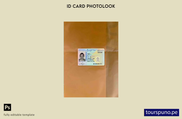 Plantilla FRONTAL lista para imprimir con foto de identificación de Países Bajos
